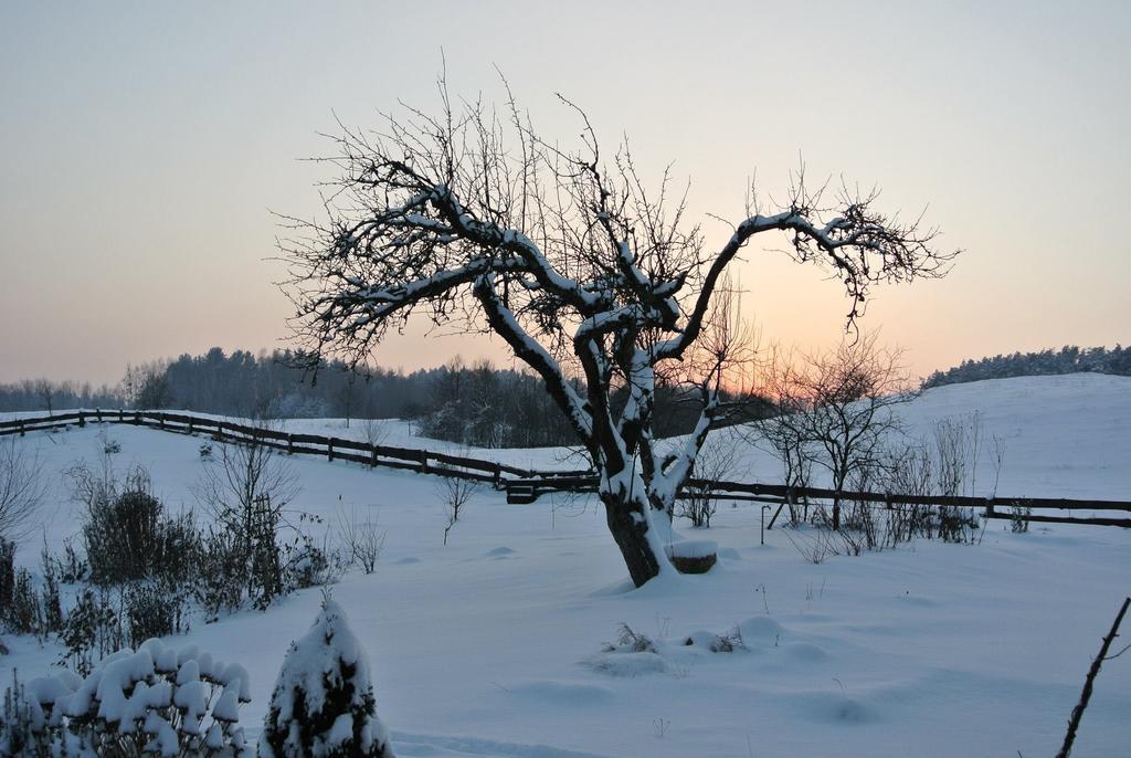 Jora Wielka Jora Siedlisko旅馆 外观 照片